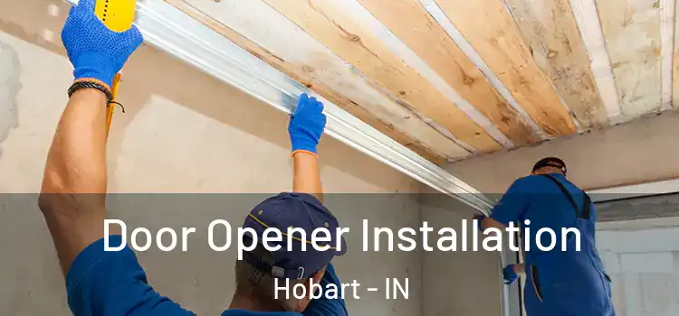  Door Opener Installation Hobart - IN
