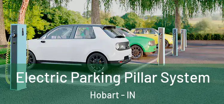  Electric Parking Pillar System Hobart - IN