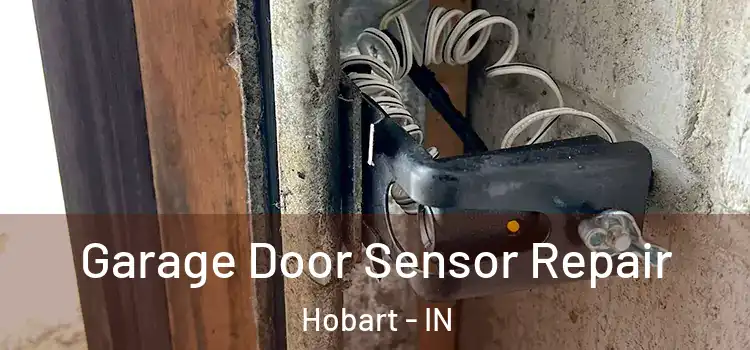  Garage Door Sensor Repair Hobart - IN