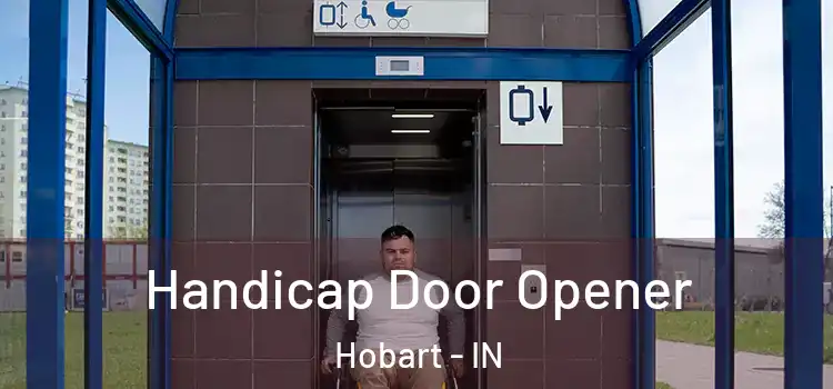  Handicap Door Opener Hobart - IN