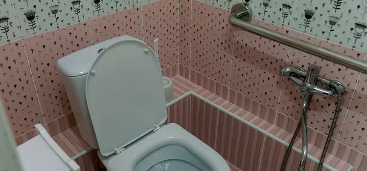 Meeting Diverse Needs With Accessible Restroom Solutions in Hobart, IN