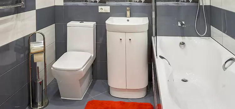 Hansgrohe Shaving Mirror Hobart