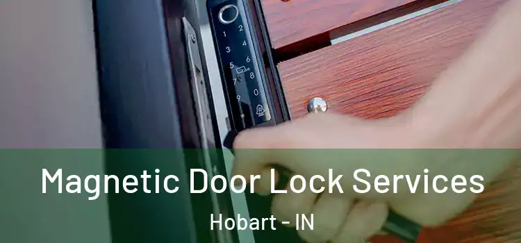  Magnetic Door Lock Services Hobart - IN